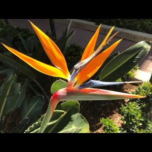 Meet your Posher, Joann